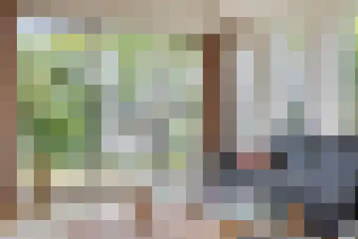 Nachtlân 92 De Wilgen thumbnail 23