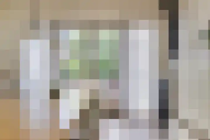 Nachtlân 92 De Wilgen thumbnail 30