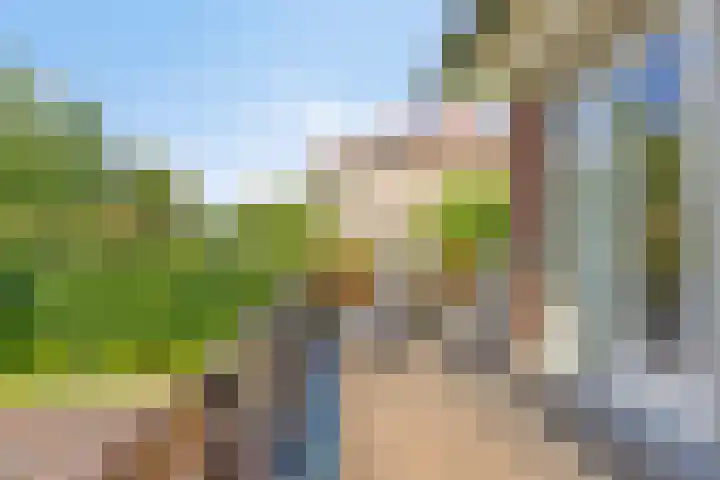 Nachtlân 92 De Wilgen thumbnail 31