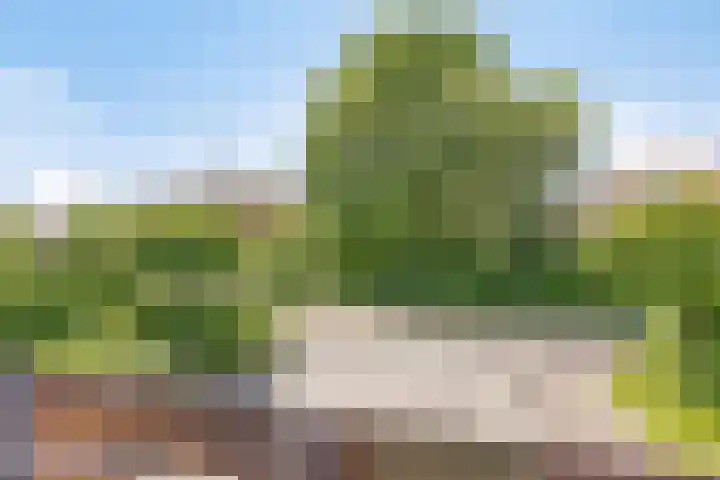 Nachtlân 92 De Wilgen thumbnail 32