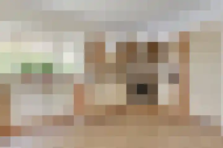 Nachtlân 92 De Wilgen thumbnail 34