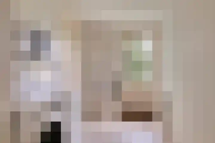Nachtlân 92 De Wilgen thumbnail 36