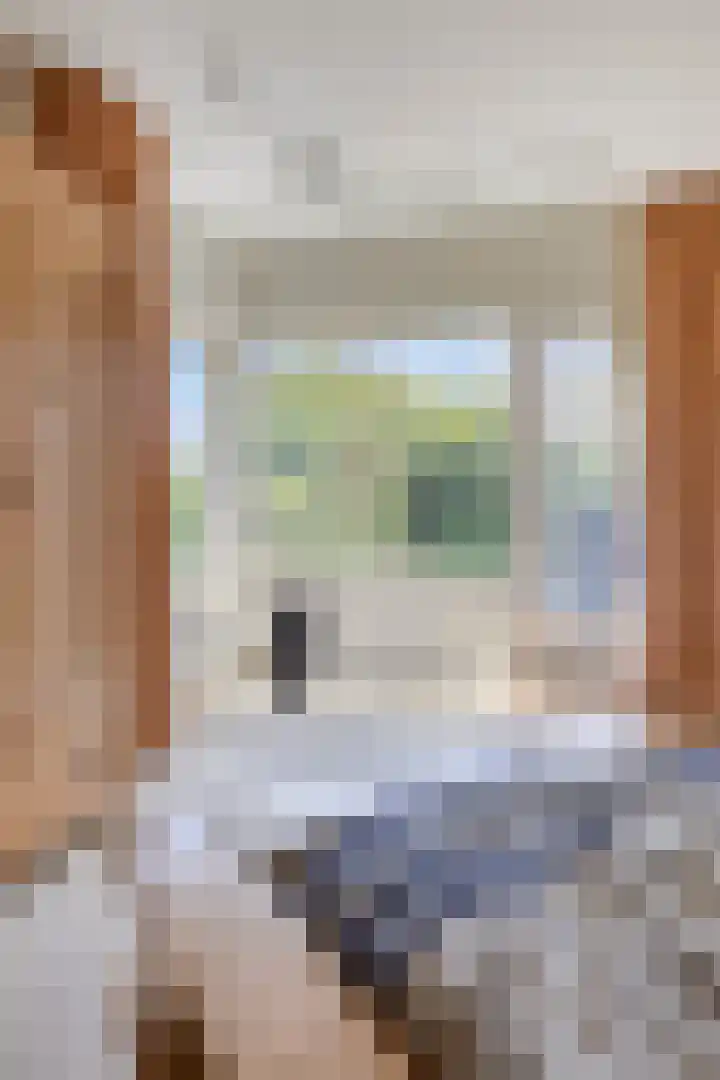 Nachtlân 92 De Wilgen thumbnail 41