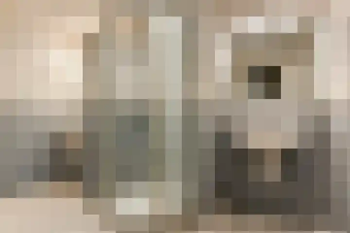 Nachtlân 92 De Wilgen thumbnail 45