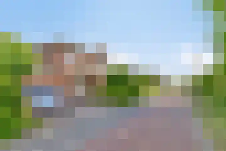 Nachtlân 92 De Wilgen thumbnail 5