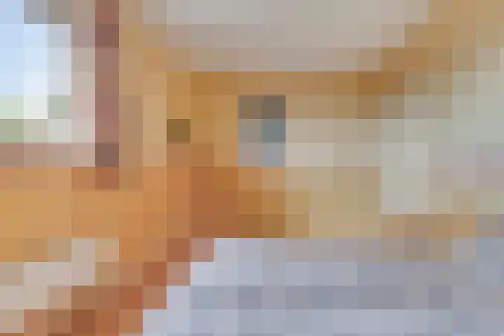 Nachtlân 92 De Wilgen thumbnail 52