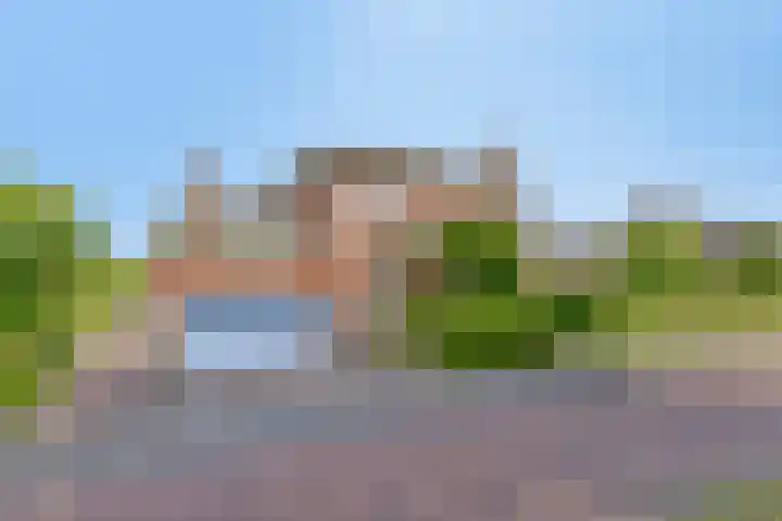 Nachtlân 92 De Wilgen thumbnail 6