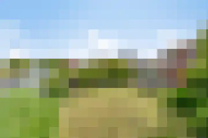 Nachtlân 92 De Wilgen thumbnail 62