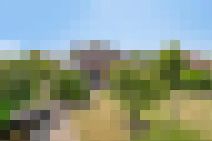 Nachtlân 92 De Wilgen thumbnail 63