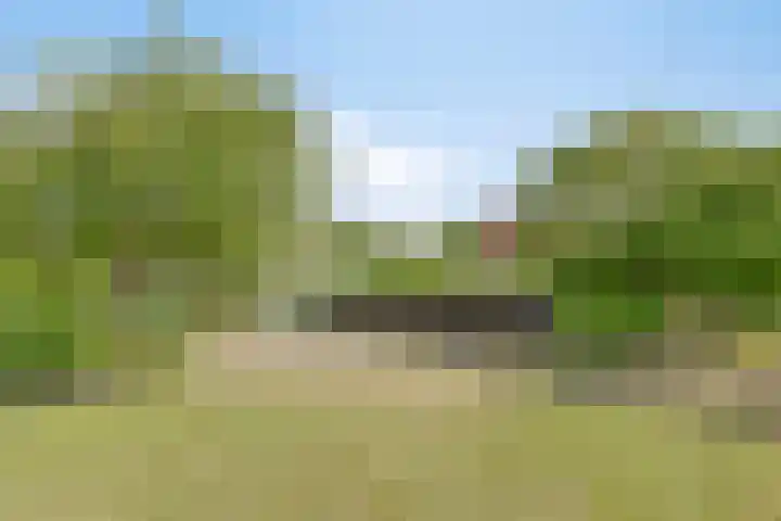 Nachtlân 92 De Wilgen thumbnail 65