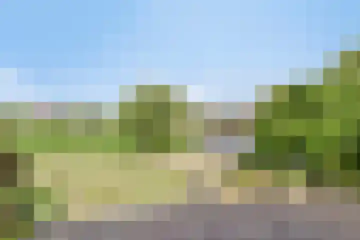 Nachtlân 92 De Wilgen thumbnail 68