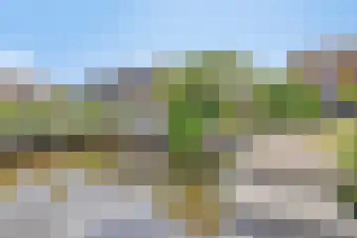 Nachtlân 92 De Wilgen thumbnail 69