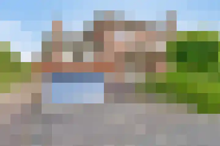 Nachtlân 92 De Wilgen thumbnail 7