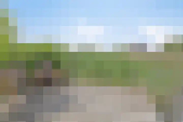 Nachtlân 92 De Wilgen thumbnail 70