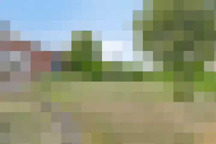 Nachtlân 92 De Wilgen thumbnail 71