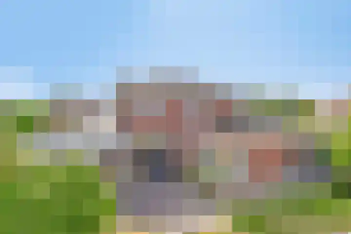 Nachtlân 92 De Wilgen thumbnail 72