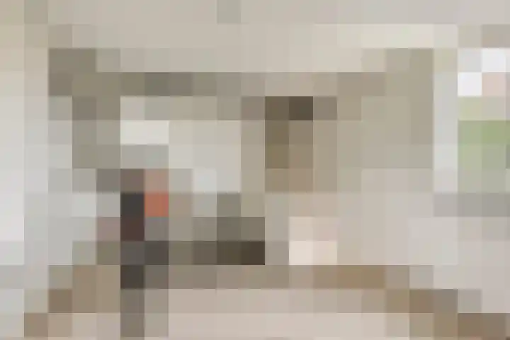 Nachtlân 92 De Wilgen thumbnail 73