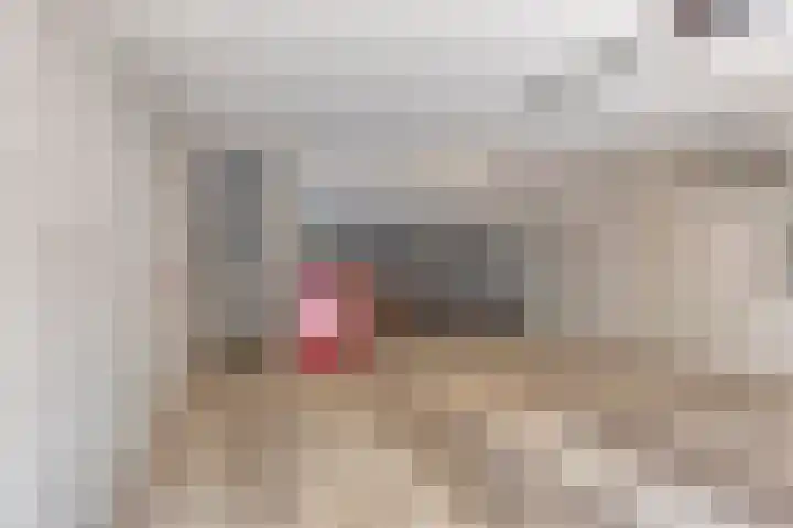 Nachtlân 92 De Wilgen thumbnail 76