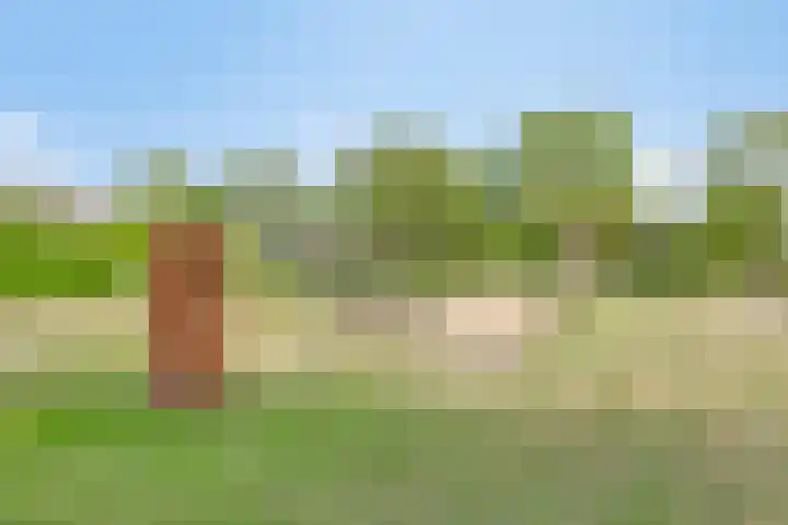 Nachtlân 92 De Wilgen thumbnail 78