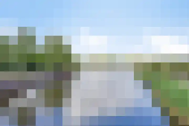 Nachtlân 92 De Wilgen thumbnail 79