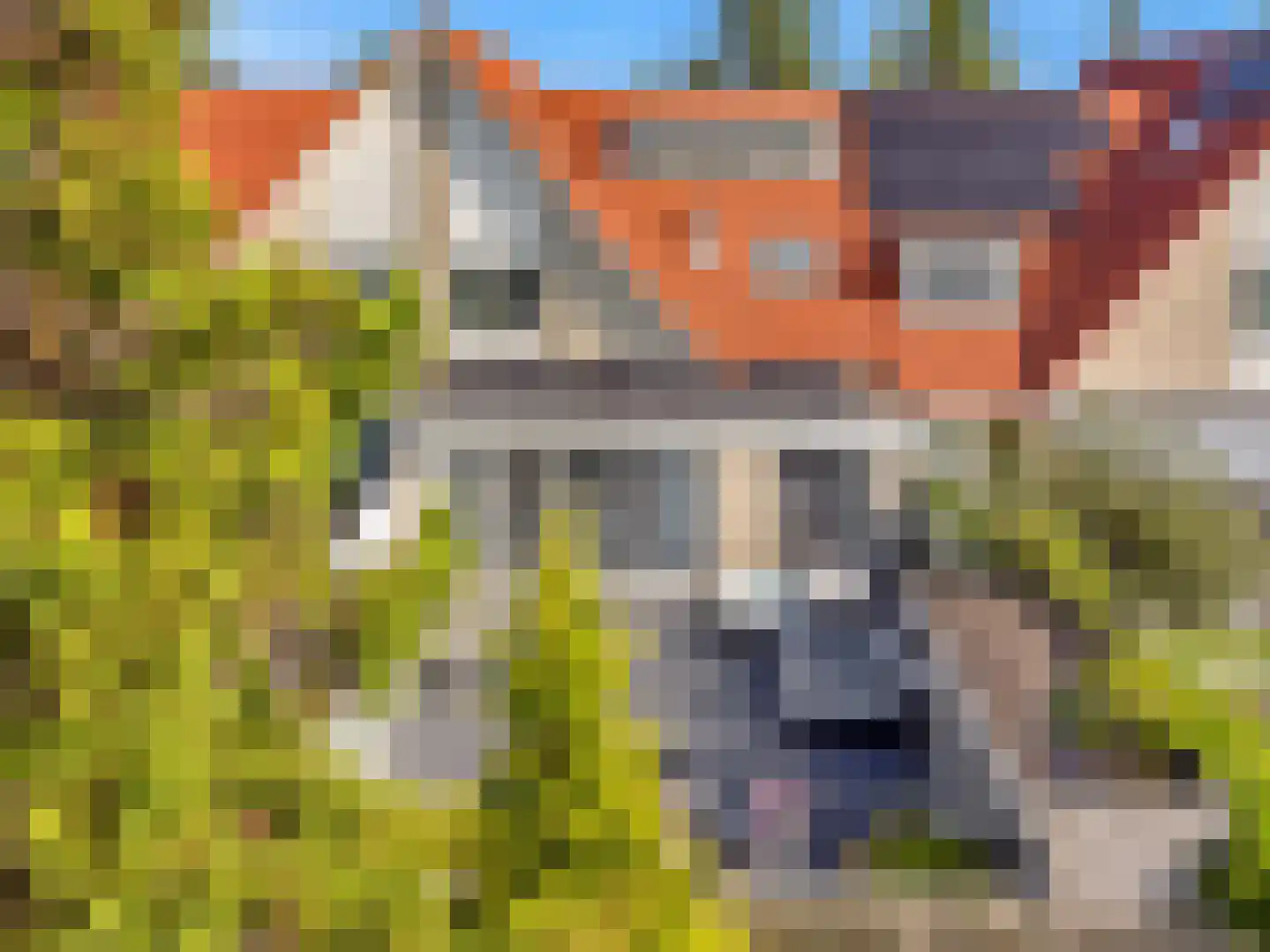 Nachtorchis 13 Limmen thumbnail 51