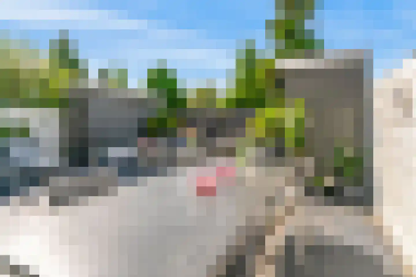 Nachtorchis 13 Limmen thumbnail 6