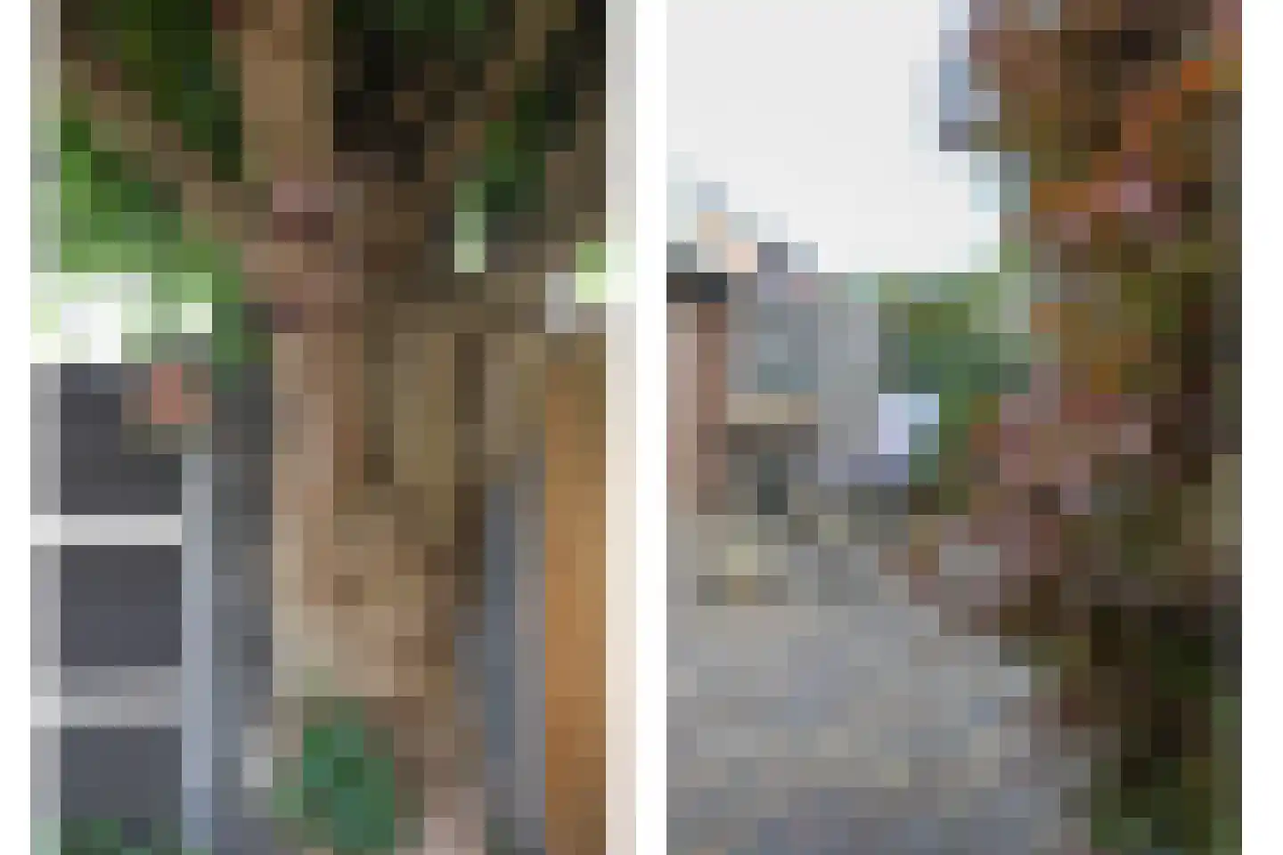 Nachtorchis 15 Kerkrade thumbnail 28