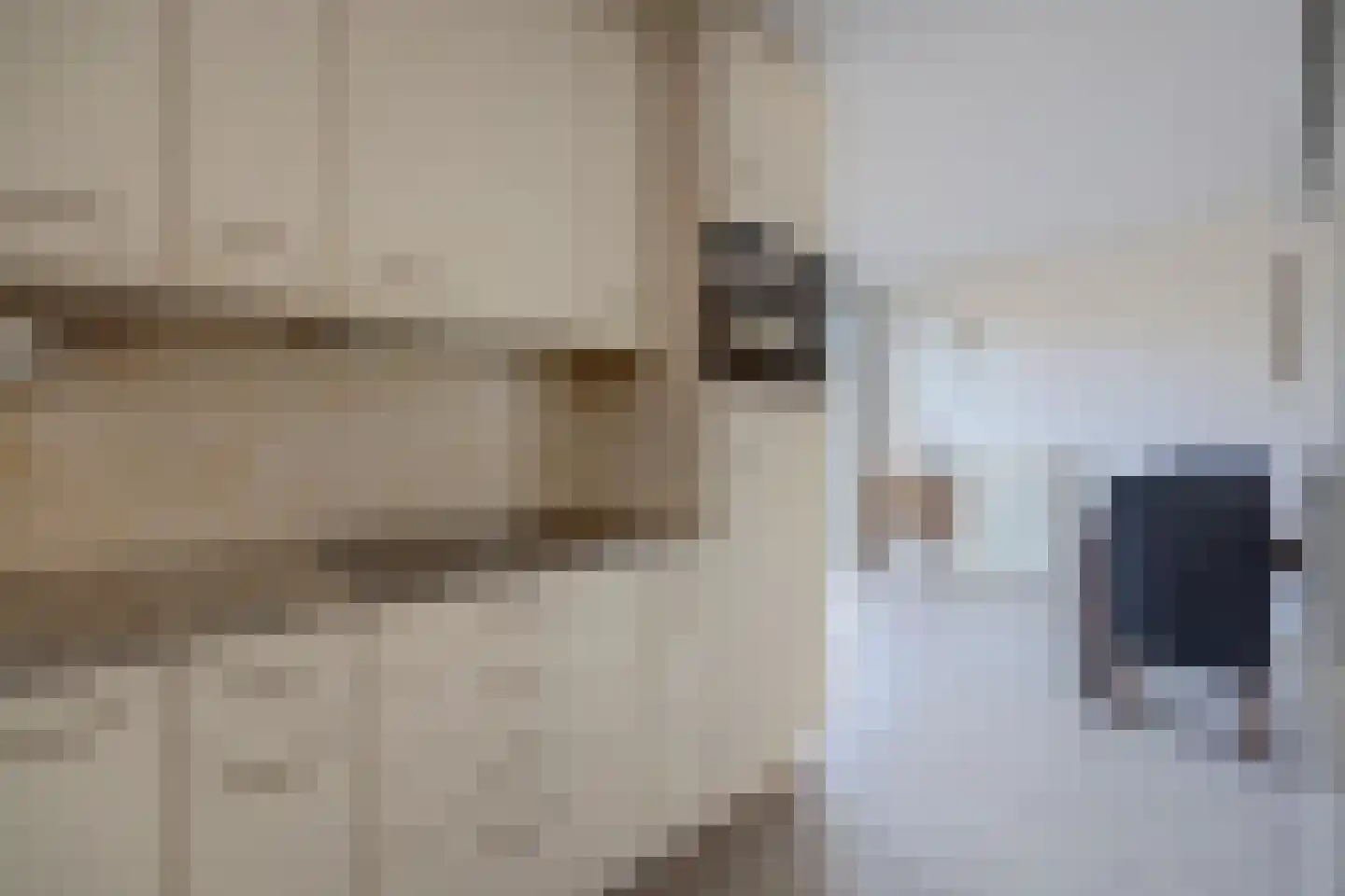 Nachtpauwooglaan 13 Veenendaal thumbnail 13