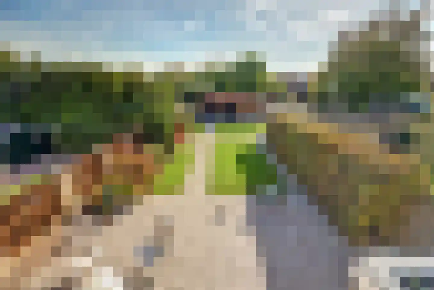 Nachtpauwooglaan 13 Veenendaal thumbnail 18