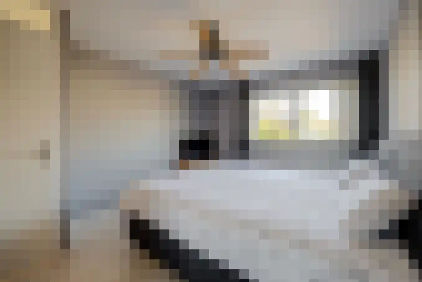 Nachtpauwooglaan 13 Veenendaal thumbnail 22