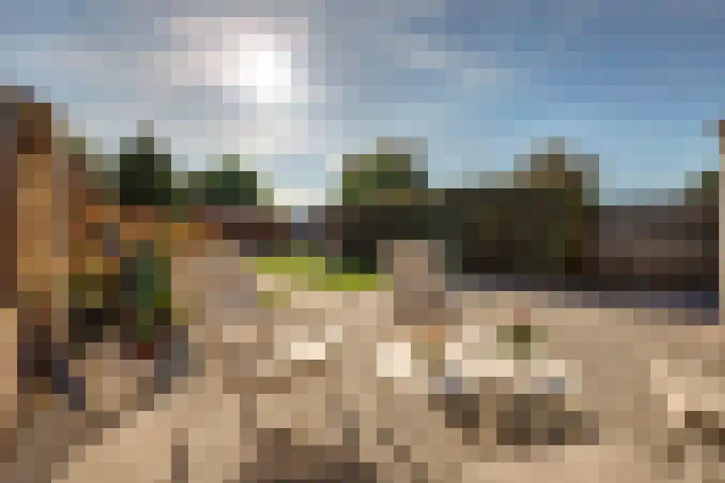 Nachtpauwooglaan 13 Veenendaal thumbnail 35