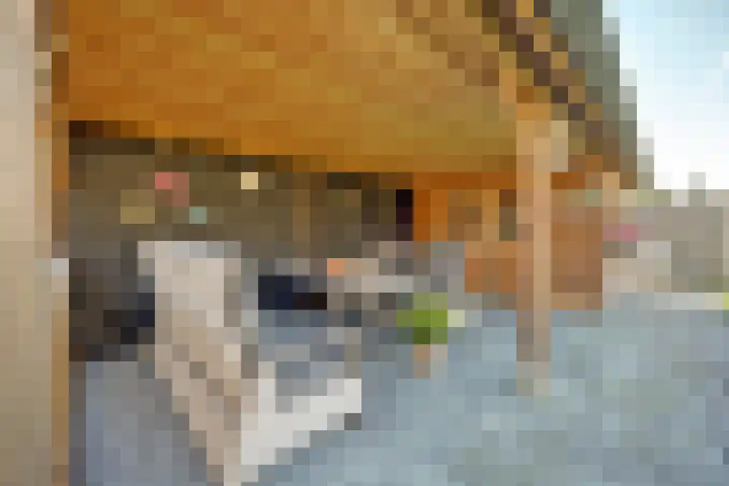 Nachtpauwooglaan 13 Veenendaal thumbnail 40