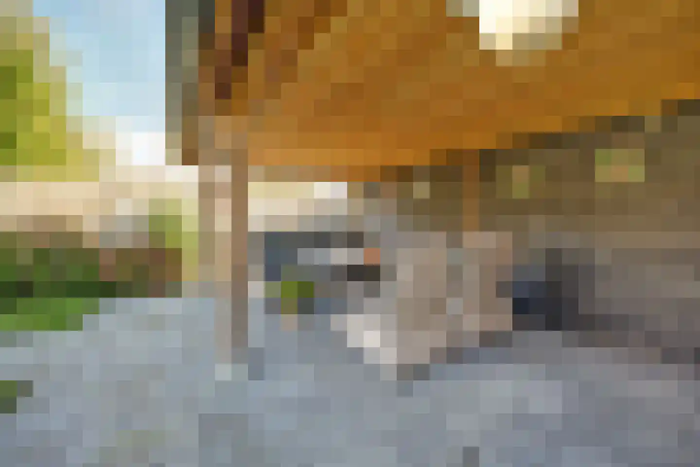 Nachtpauwooglaan 13 Veenendaal thumbnail 41