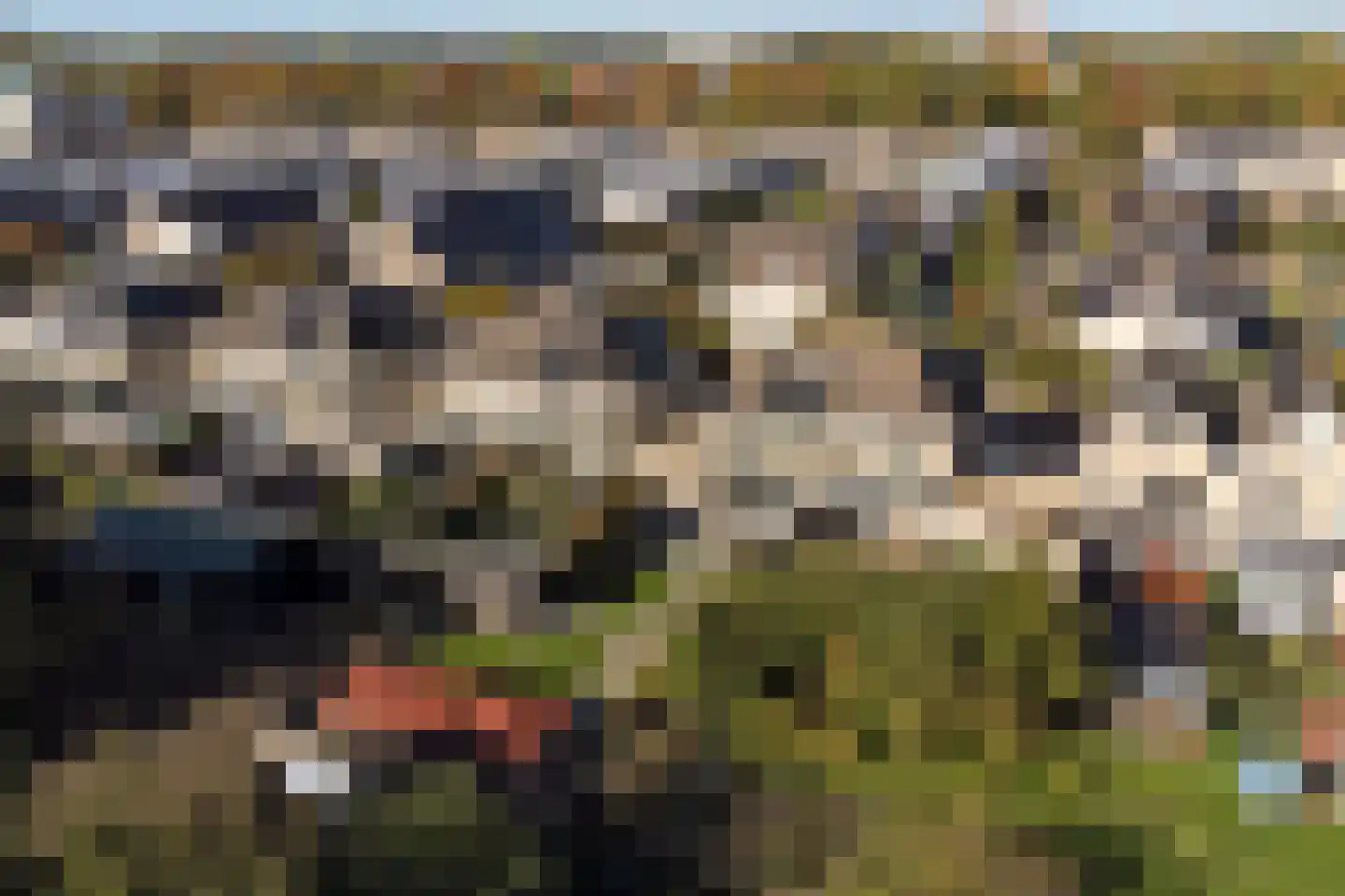Nachtpauwooglaan 13 Veenendaal thumbnail 46