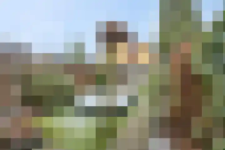 Nachtpauwooglaan 49 Veenendaal thumbnail 31