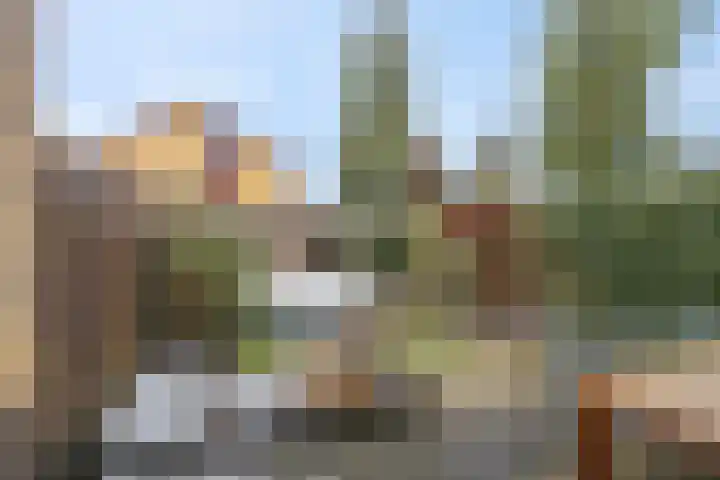 Nachtpauwooglaan 49 Veenendaal thumbnail 32
