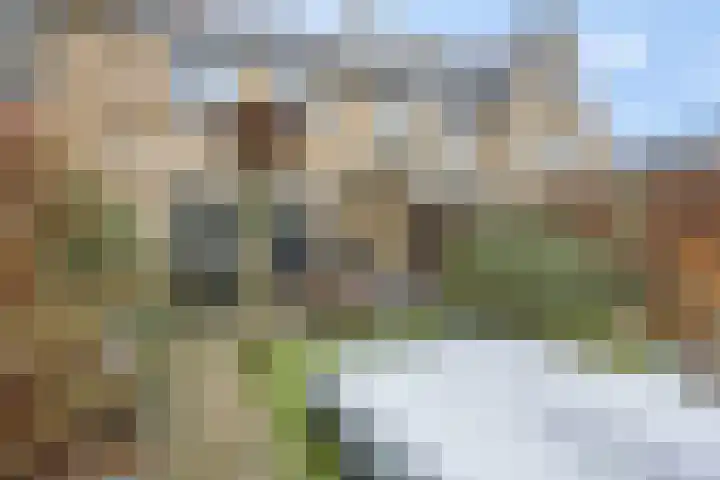 Nachtpauwooglaan 49 Veenendaal thumbnail 34