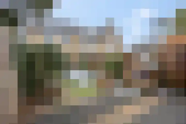 Nachtpauwooglaan 49 Veenendaal thumbnail 35