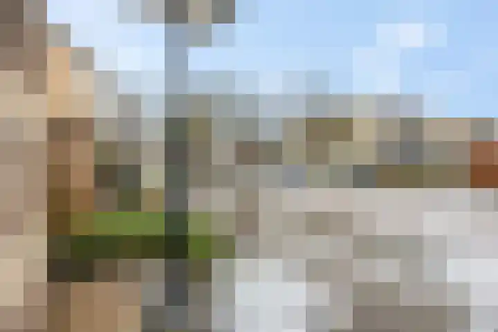 Nachtpauwooglaan 49 Veenendaal thumbnail 37