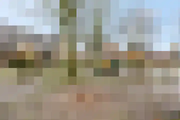 Nachtpauwooglaan 49 Veenendaal thumbnail 41