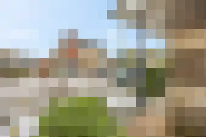 Nachtpauwooglaan 49 Veenendaal thumbnail 42