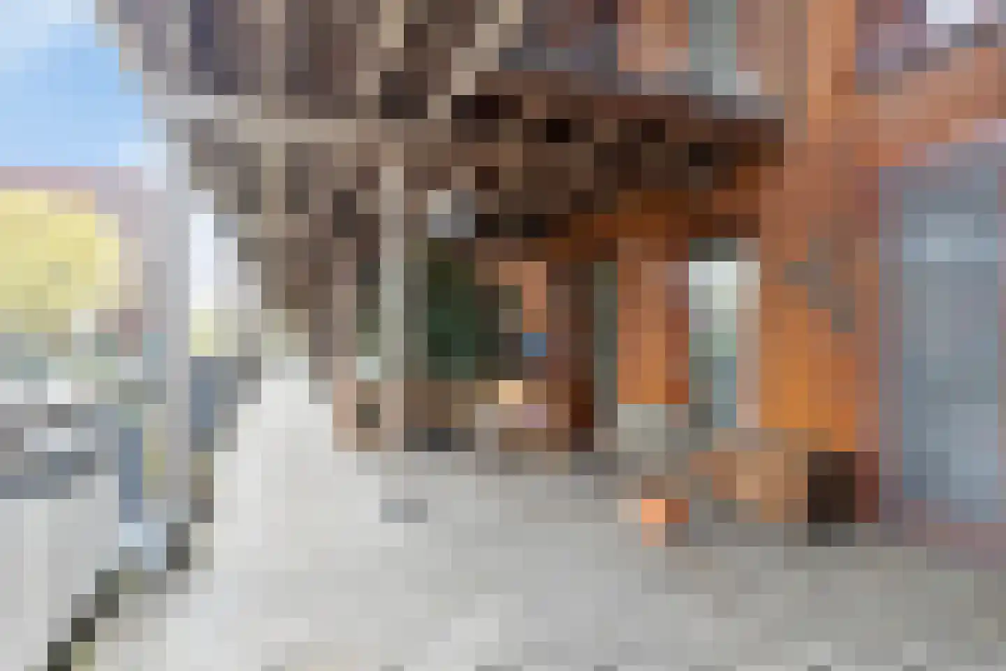 Nachtschade 18 Arnhem thumbnail 21