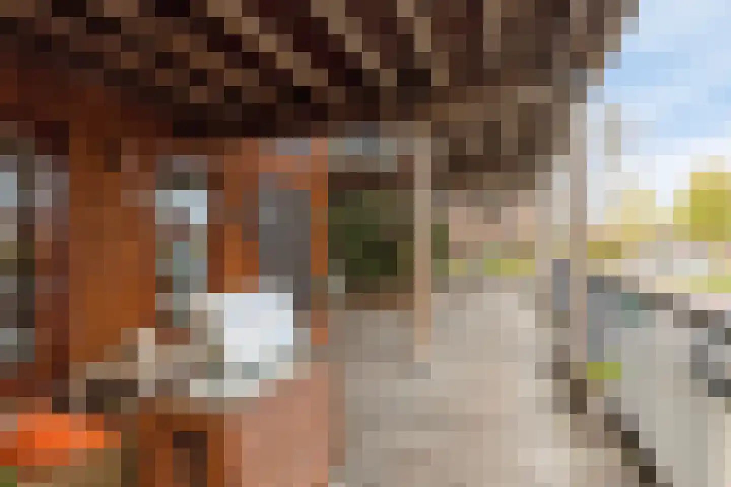 Nachtschade 18 Arnhem thumbnail 22