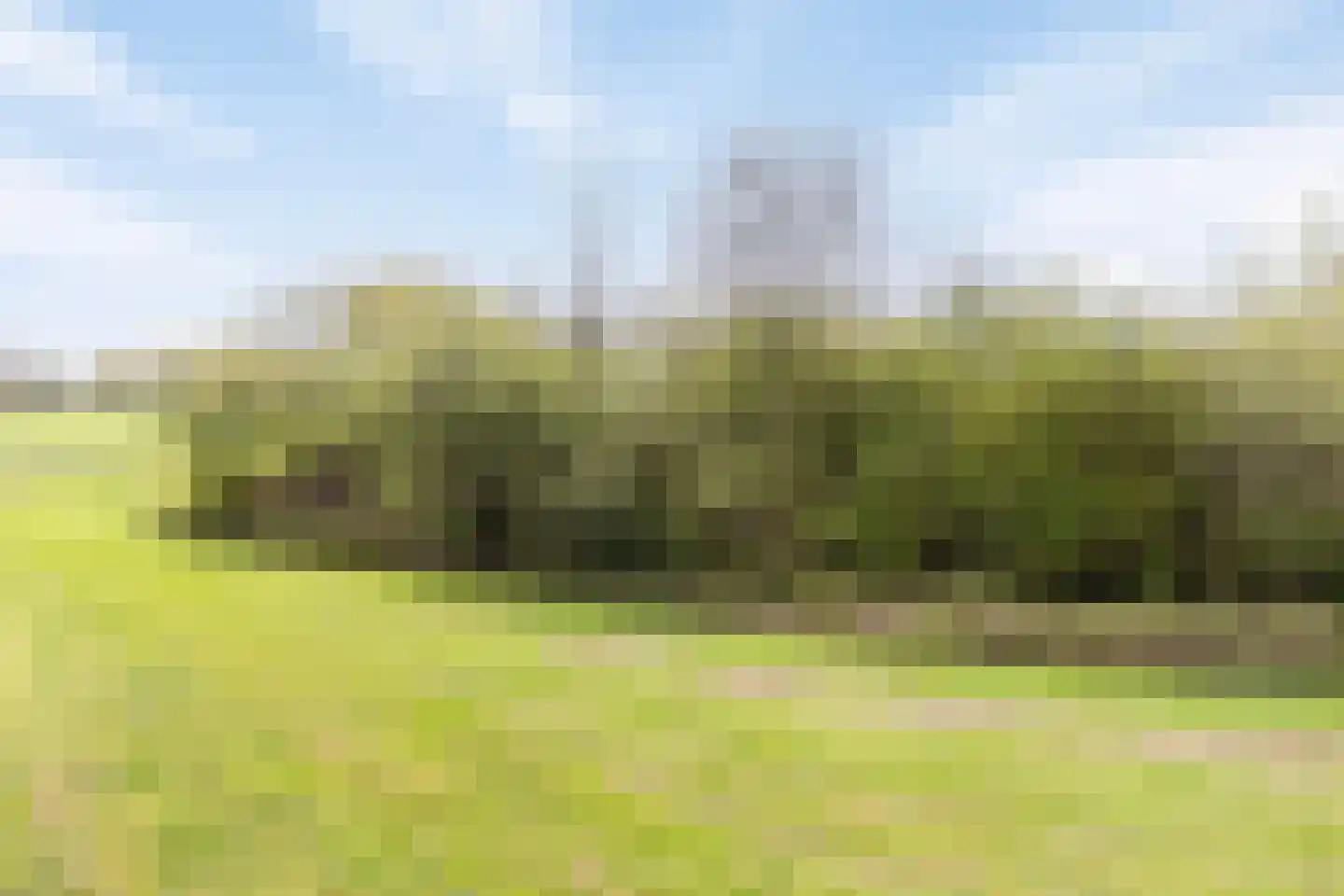Nachtschade 18 Arnhem thumbnail 28