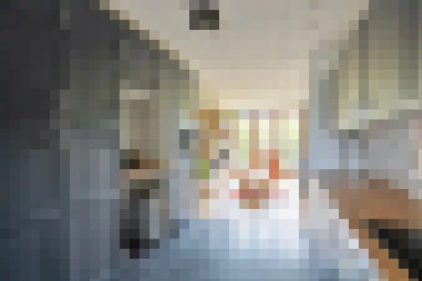 Nachtschade 18 Arnhem thumbnail 7