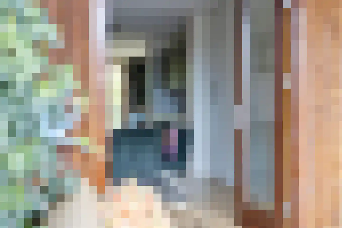 Nachtschade 18 Arnhem thumbnail 9
