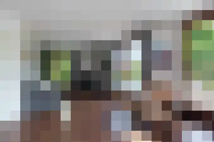 Nachtschade 2 Arnhem thumbnail 13