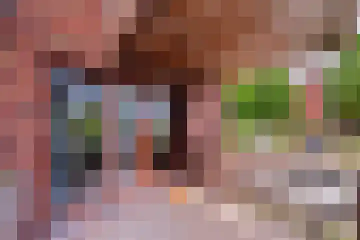 Nachtschade 2 Arnhem thumbnail 16