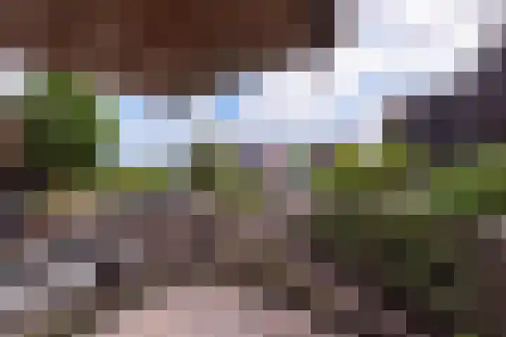 Nachtschade 2 Arnhem thumbnail 17