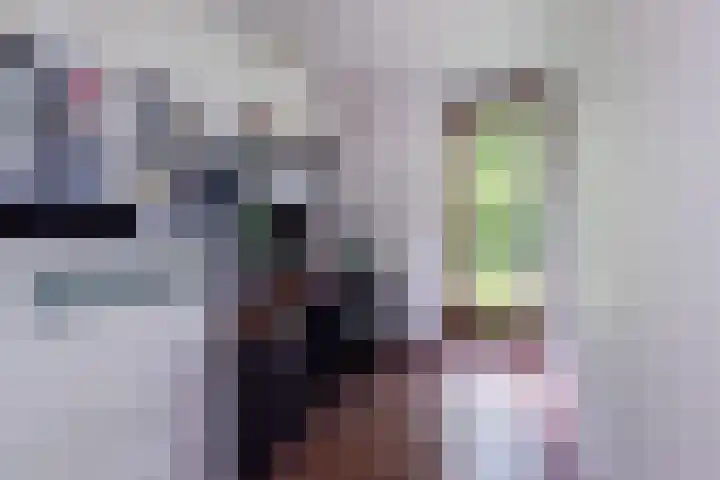 Nachtschade 2 Arnhem thumbnail 22